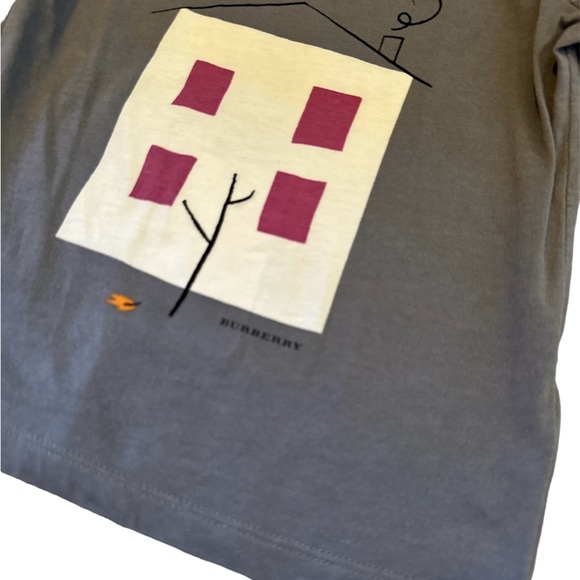 Burberry shirts (2pcs) - Picture 6 of 7